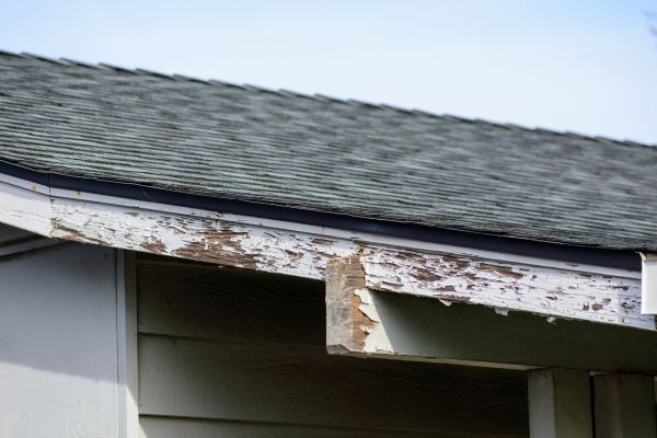 St Louis Wood Rot Repair