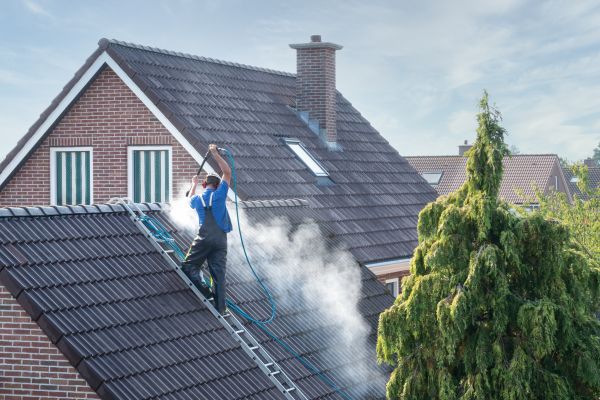 St Louis Roof Cleaning
