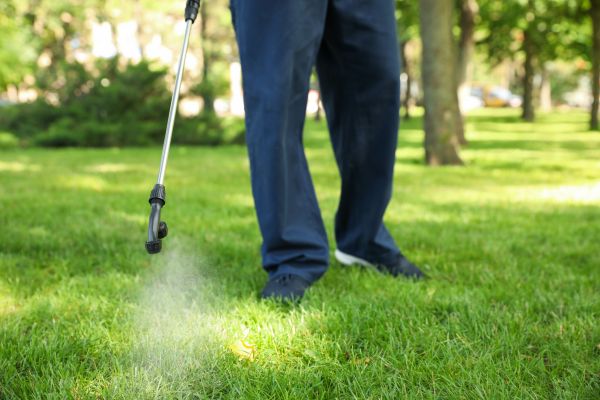 St Louis Lawn Treatment