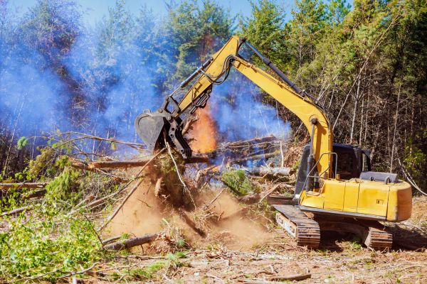 St Louis Land Clearing